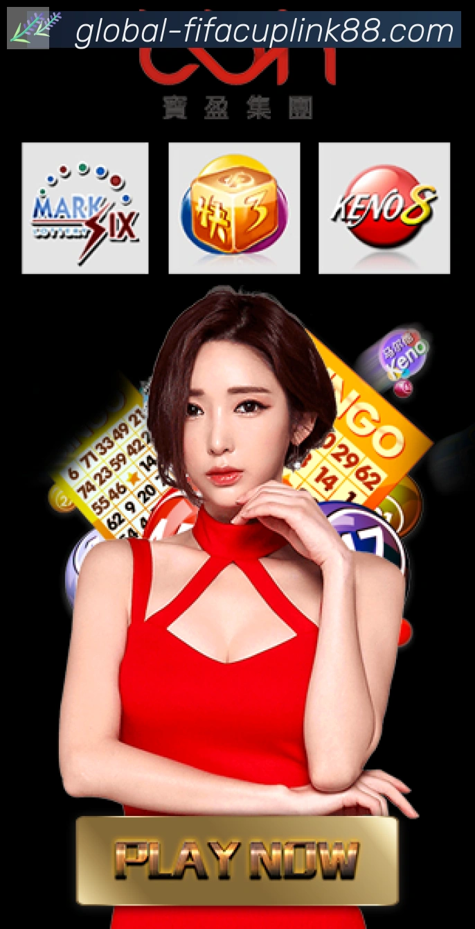 未来规划